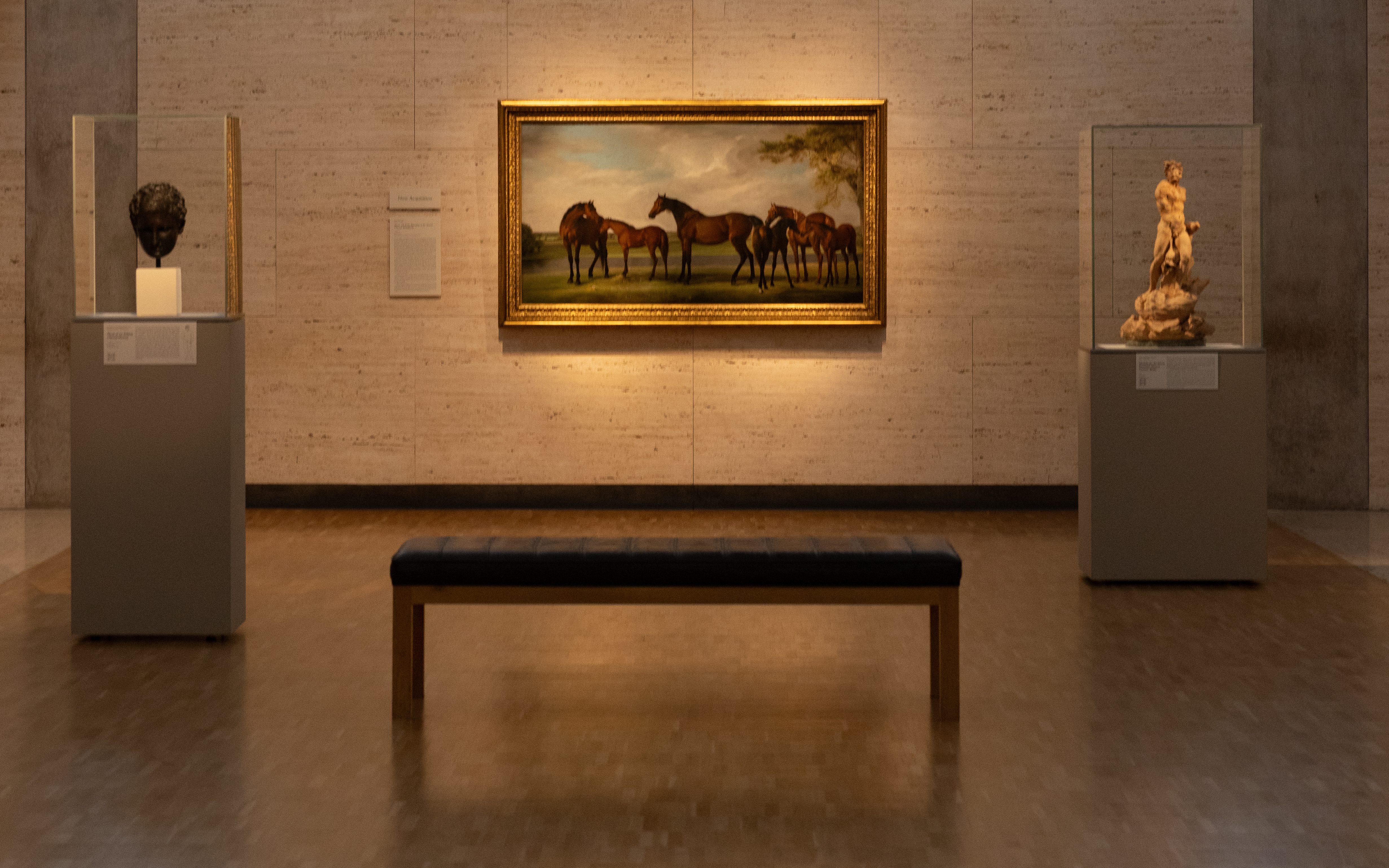 Installation photo of Stubbs Mares and Foals Kimbell Art Museum