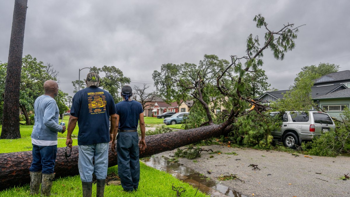 Hurricane In Houston 2024 Maryl Sheeree