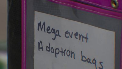 Clear the Shelters celebrates 10-year anniversary with MEGA Adoption Event in Fort Worth