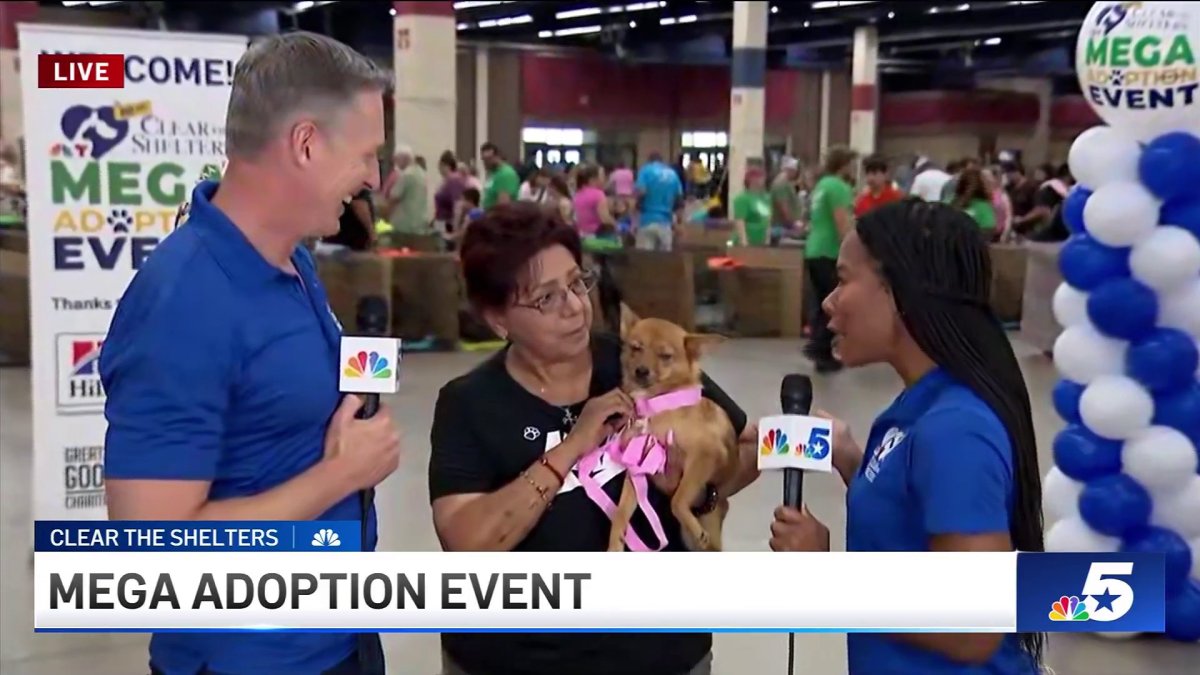 North Texans turn out for Clear the Shelters Mega Adoption Event – NBC ...