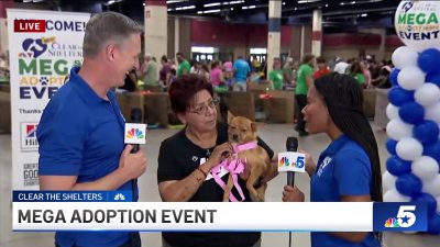 North Texans turn out for Clear the Shelters Mega Adoption Event