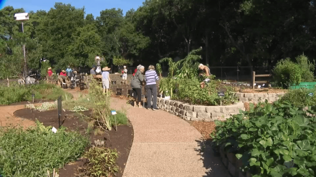 Tarrant County organizations work together to combat food shortages – NBC 5 Dallas-Fort Worth