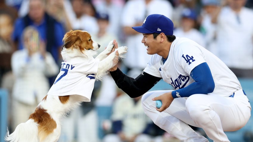 Ohtani