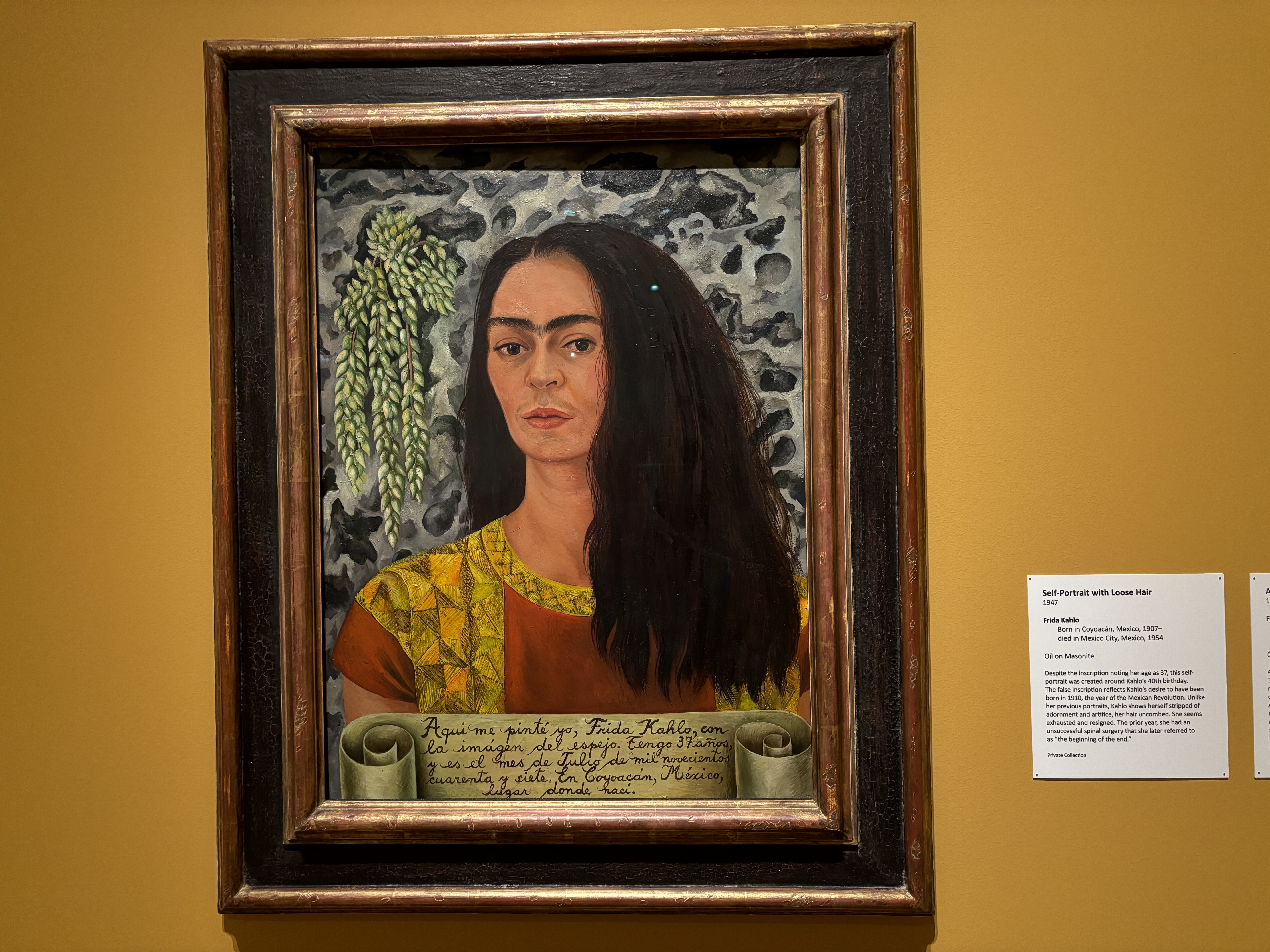 Frida Kahlo Self-Portrait with Loose Hair Frida exhibition Dallas Museum of Art 2024