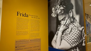 Frida Kahlo exhibit Dallas Museum of Art 2024