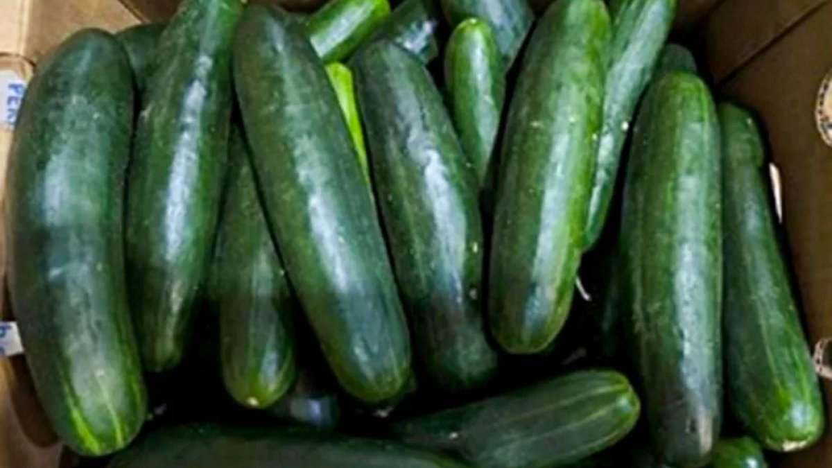 Recalled cucumbers linked to at least 449 illnesses have been pulled