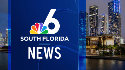 Latest Details on Bridge Collapse Investigation