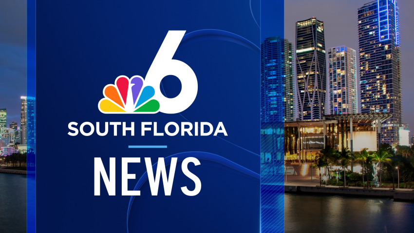Latest Details on Bridge Collapse Investigation