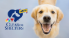 Here are the shelters participating in the 10th Clear the Shelters™