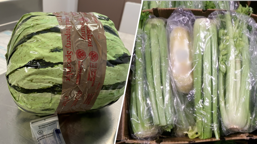 CBP confiscated a shipment of watermelon and celery that contained hidden compartments of meth.