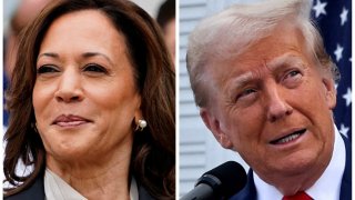 Vice President Kamala Harris, left, at the White House, Washington, July 22, 2024, and former President Donald Trump in Bedminster, New Jersey, Aug. 15, 2024.