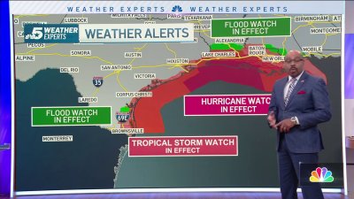 Francine expected to rise to Category 1 Hurricane