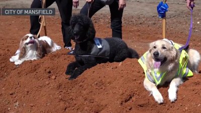 City of Mansfield breaks ground on new animal shelter