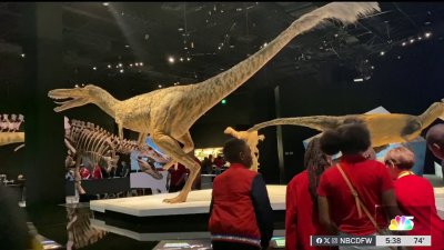 United Way of Metropolitan Dallas hosts annual STEM Fest at Perot Museum