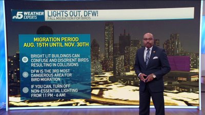 Time for Lights Out in DFW fall bird migration of birds begins