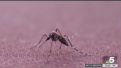 Rise in West Nile virus human cases leads to public health warning