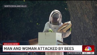 Man and woman attacked by bees in North Richland Hills