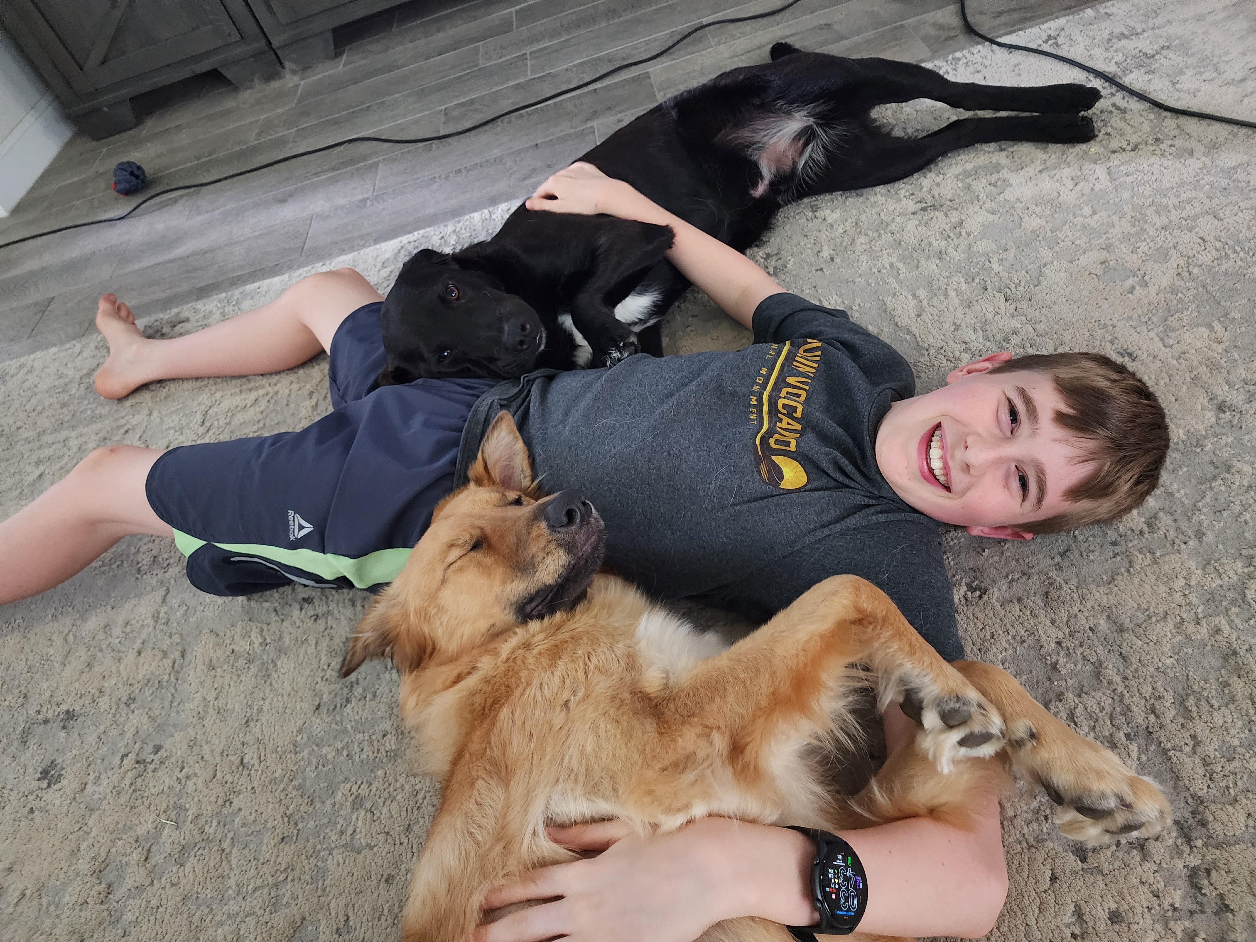 Last June & July we rescued Libby (Shepherd/retriever mix) & then Edward<br />
(black lab) from Ft Worth Animal Shelter downtown. They were about 6 months<br />
old at the time – now about 18 months old.
As you can see they love their best friend Fin aged 13 being home from<br />
school all summer. They are keeping cool inside!