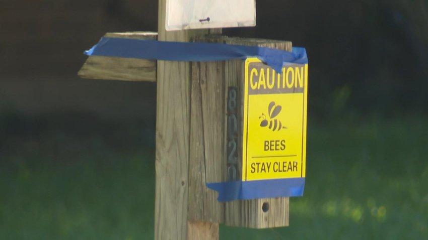 Caution sign put up at North Richland Hills home on Wednesday, a day after a swarm of bees attacked a resident. (NBC 5 photo/Juan Rodriguez)