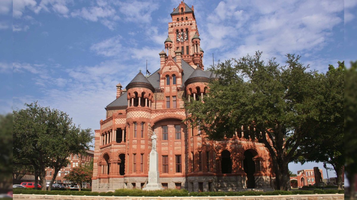 Ellis County Early Voting 2024 - Ange Maureen