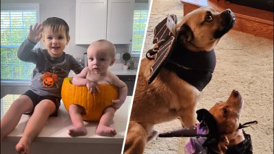 Halloween Photos: Jackson, Christian, BugsB & Mia