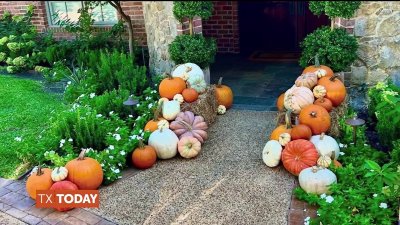 Festive fall décor with Porch Pumpkins