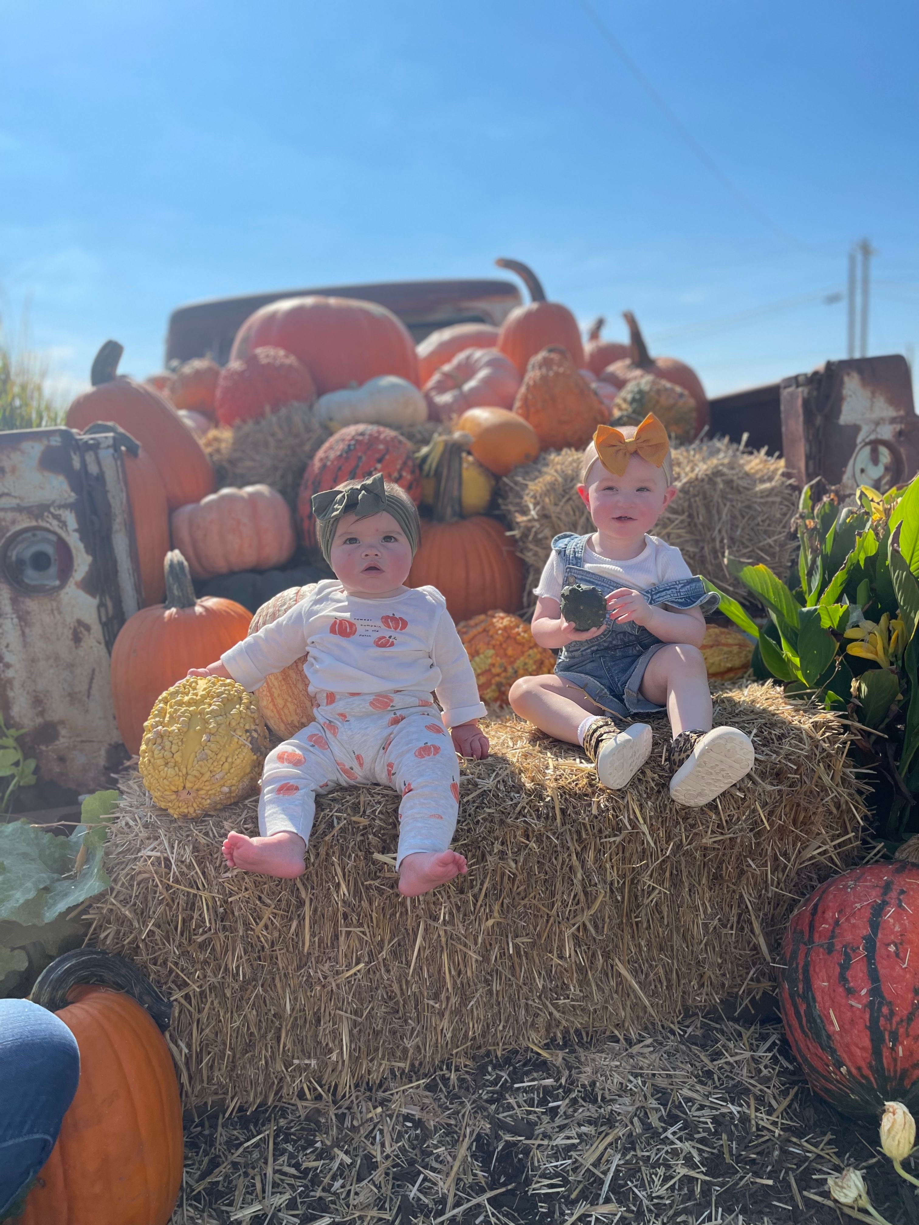 Cousin Besties, Stella & Willa Jean, at the Bear Creek store fall display in Leonard, TX.
Thank youTammy Chennault
Sent from Yahoo Mail for iPhone