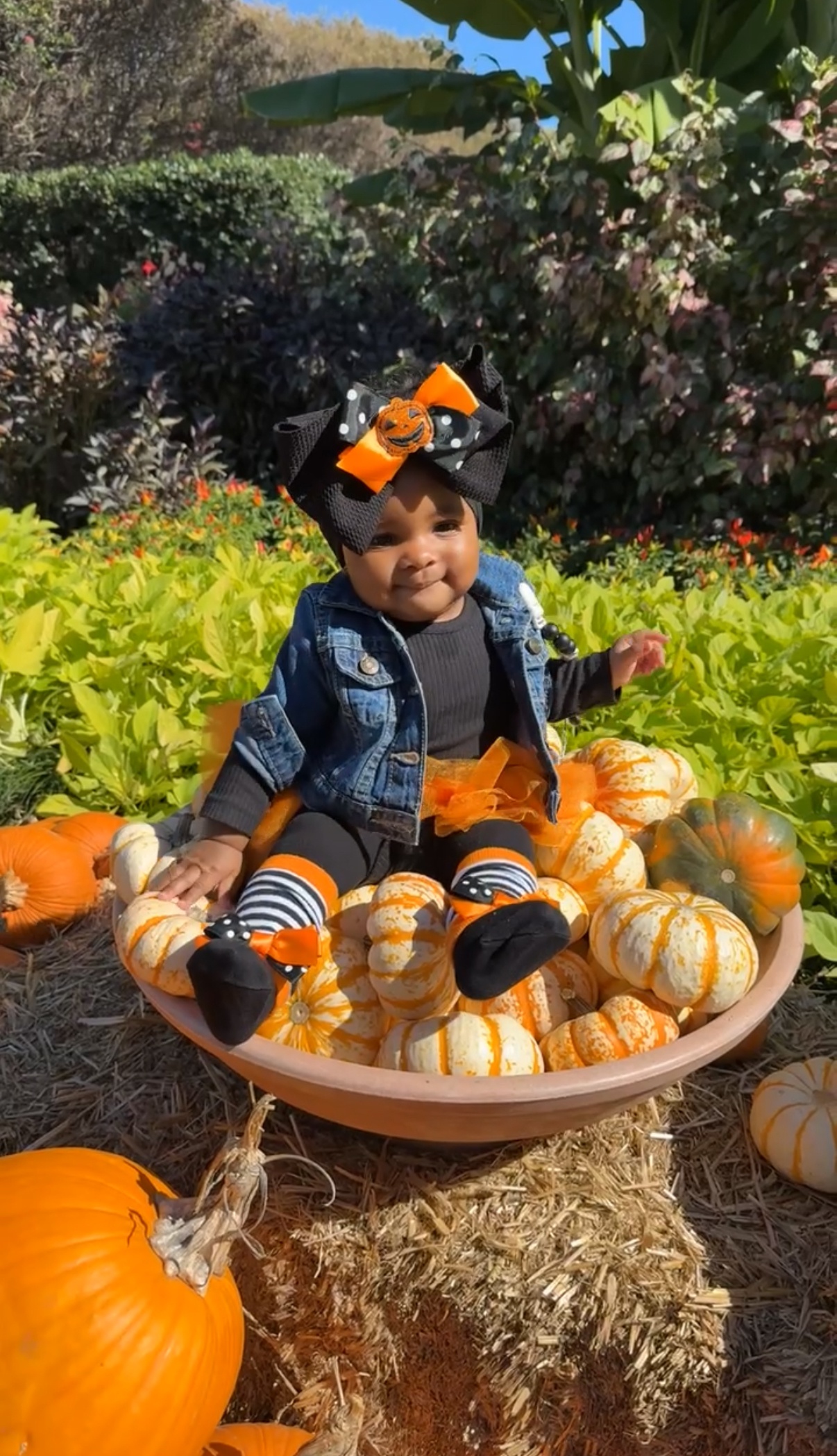 Hi!
I’m Tamara and this is my beautiful baby girl Denym (pronounced Denim) and I would love for her photo to be featured
She’s at the Dallas Arboretum Pumpkin Patch. 
Thanks for considering her photo. 
Tamara