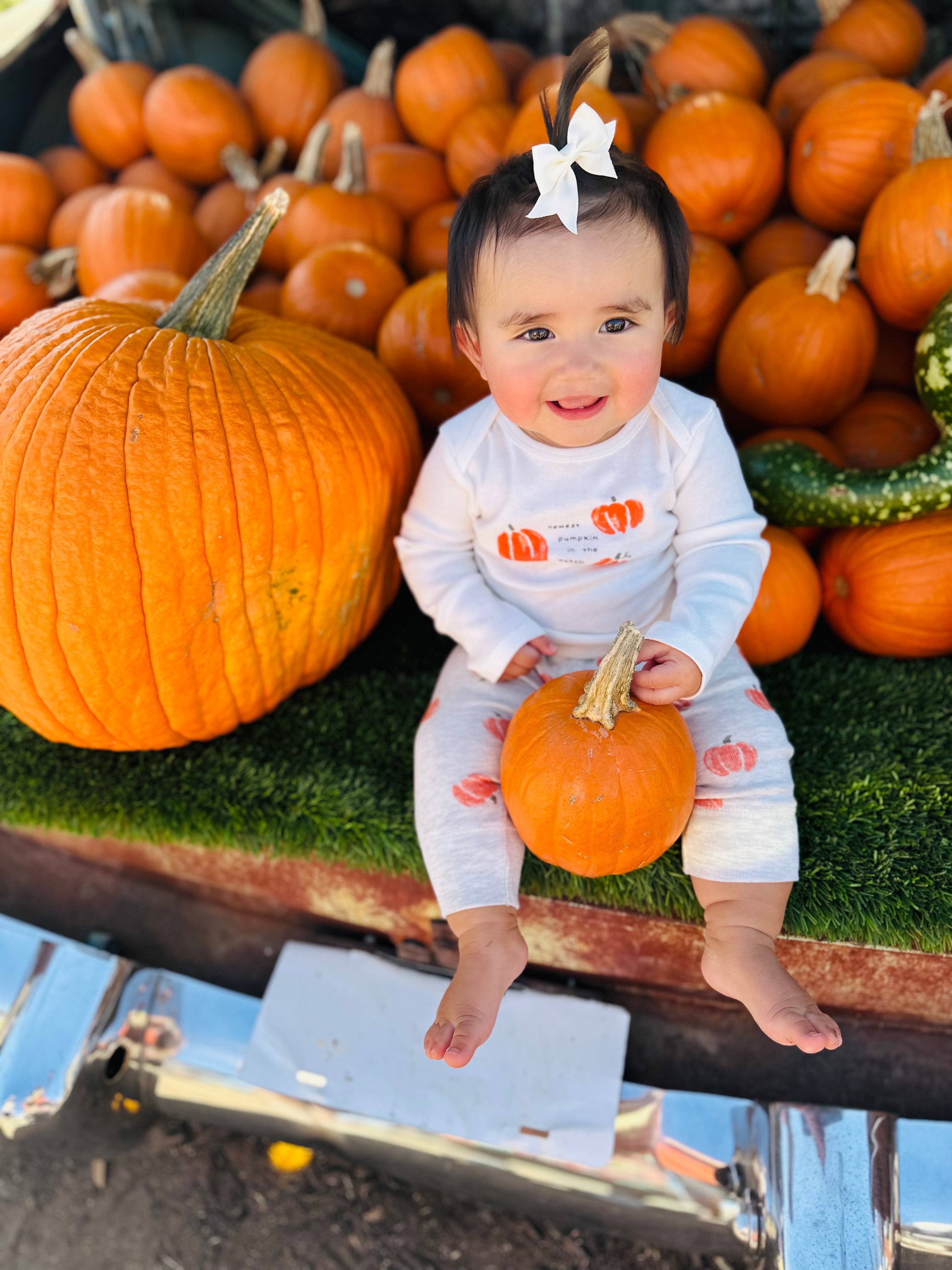 Our 9 month old baby Charlotte at Mainstay Farm Pumpkin Patch in Cleburne.
Sent from Yahoo Mail for iPhone