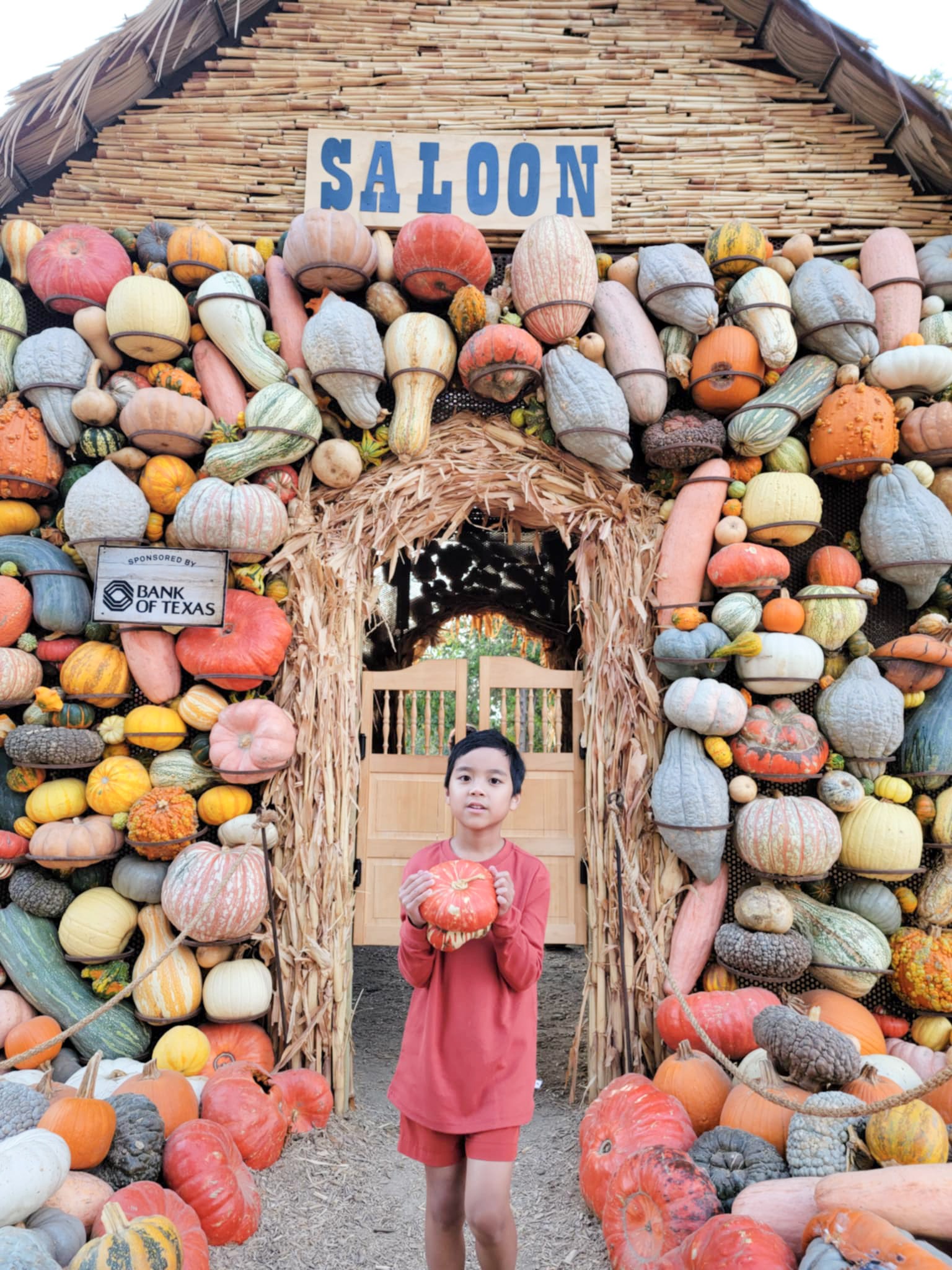 Linus checking out pumpkins at Dallas Arboretum