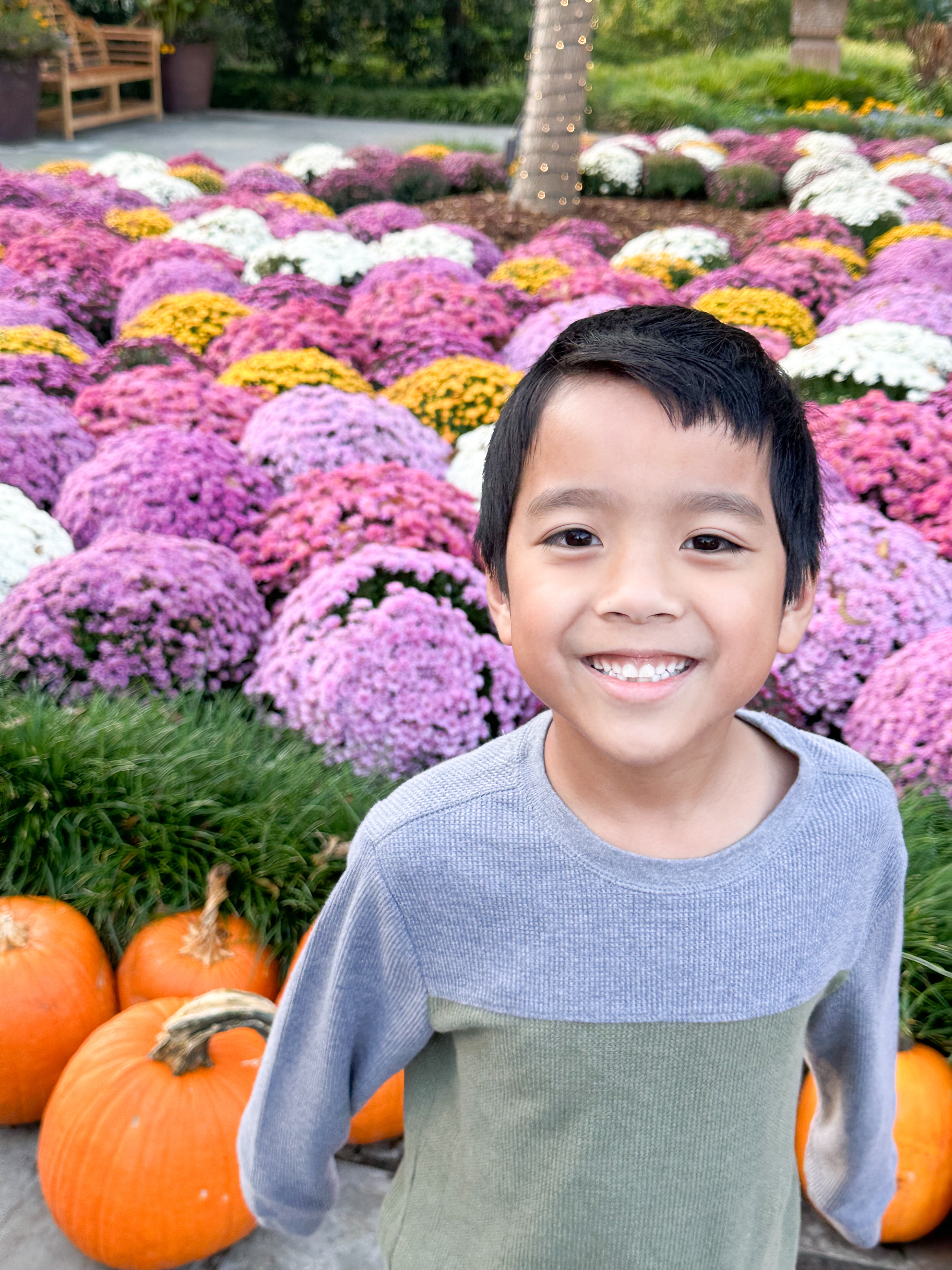 Rocco appreciating the flowers and pumpkins in Dallas Arboretum