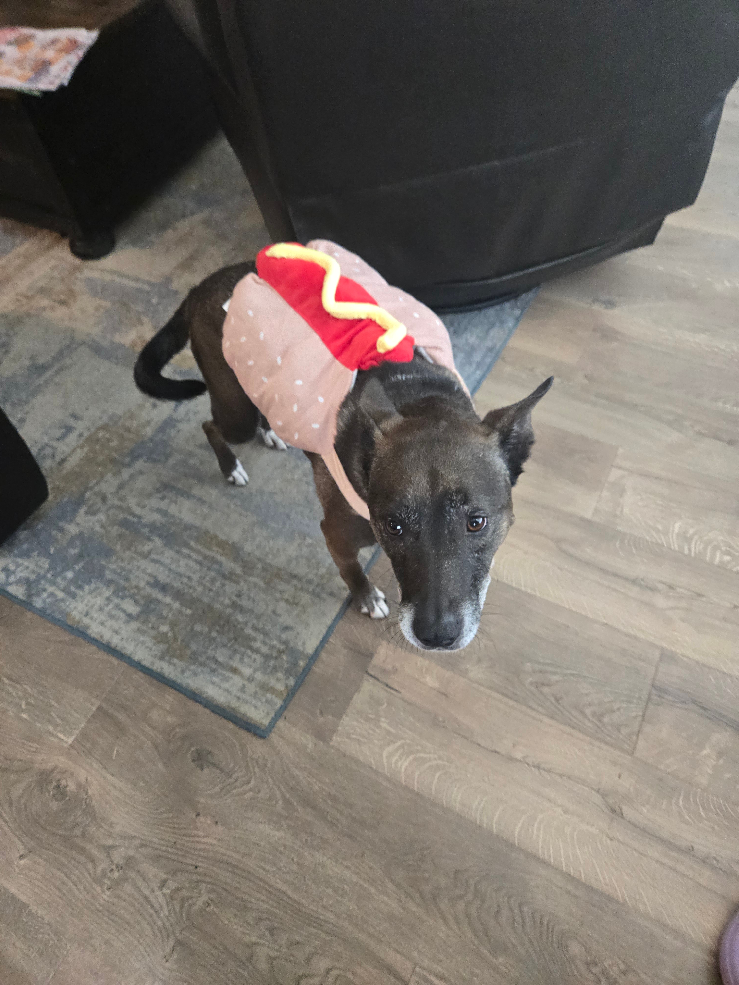 [tint-NBC_DFW] [EXTERNAL] Peyton, our little hot dog.