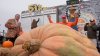 Minnesota teacher's 2,471-pound pumpkin wins California contest