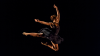 Fired dancers reach $500K+ settlement with Dallas Black Dance Theatre