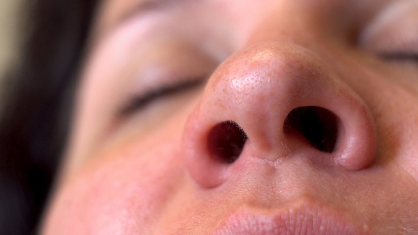 Close-up of person's nose