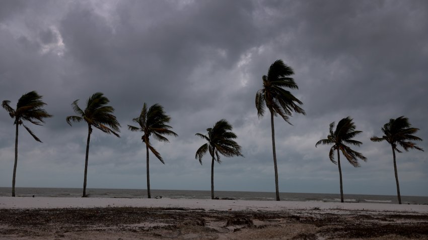 Palm trees line the beach before Hurricane Milton's arrival on October 09, 2024, in Fort Myers Beach, Florida.