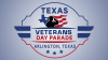 Texas Veterans Day Parade in Arlington