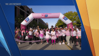 Making Strides Against Breast Cancer