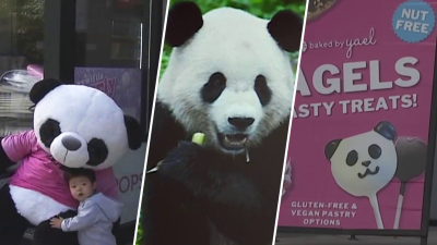 New pandas expected to arrive at DC's National Zoo on Tuesday