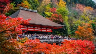 Crowds at Kyoto’s Kiyomizu-dera temple on Nov., 24, 2023. 