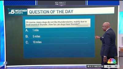 Weather Quiz: Dogs hear thunder