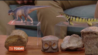 Read about dinosaur discoveries in North Texas