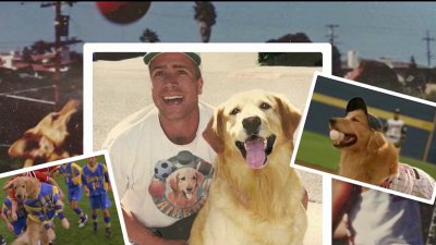 ‘Air Bud' creator and San Diego native battling health concerns and homelessness