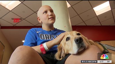 Children's Health's therapy dog program celebrates 10 years