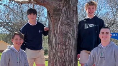 Arlington high schoolers replace blown down trees