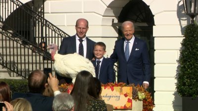 Biden pardons two turkeys in final White House Thanksgiving