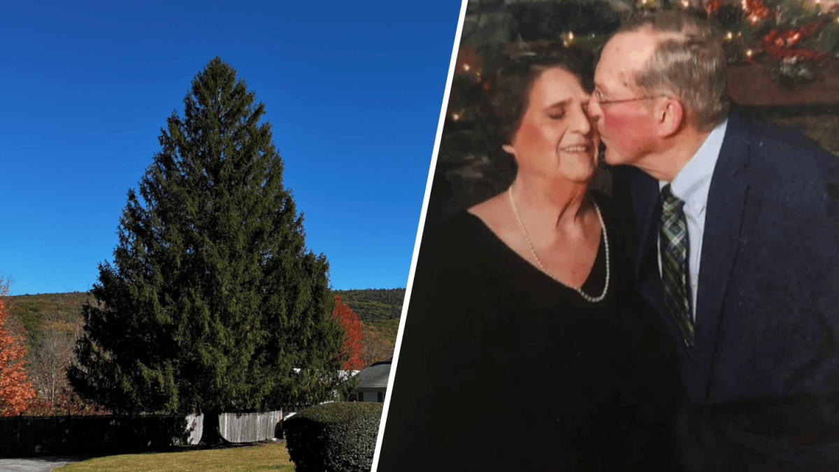 Clinton Rockefeller Rockefeller Center Christmas tree family gives health update on widower ...