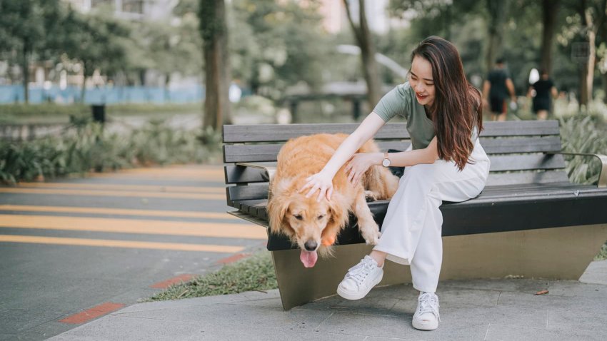 “For many, roles like pet sitting or chauffeuring offer something that high-stakes jobs often struggle to provide: simplicity, flexibility, and a sense of control,” says Saumitra Chand, career expert at Indeed.