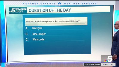 Weather Quiz: Drought tolerant tree