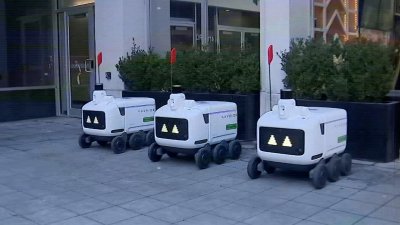 How do autonomous food delivery robots work?